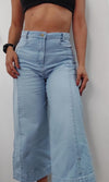 Evolet Wide Leg Cropped Jeans